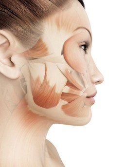 Facial Reanimation Surgery by OrangeCountySurgeons